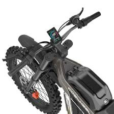 Coswheel R19 Electric Dirt Bike