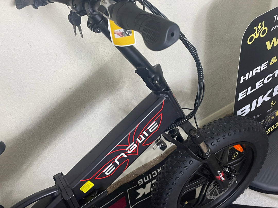 UK Stock  Engwe Ep-2 Pro Upgraded 750W