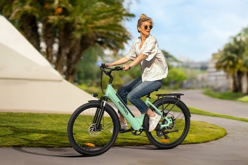 ENGWE HILLMILES MILECITY 1 ELECTRIC BIKE