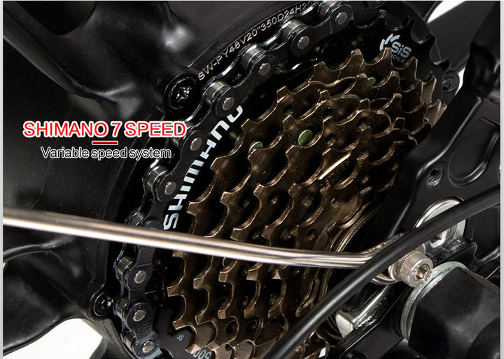 Samebike 20LVXD30-II Folding Electric Mini Bike