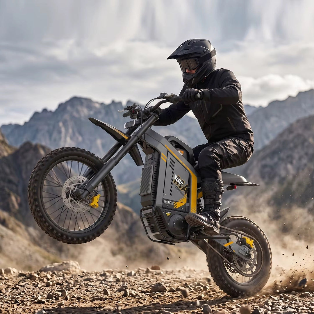 Coswheel R19 MAX The Ebike Shop