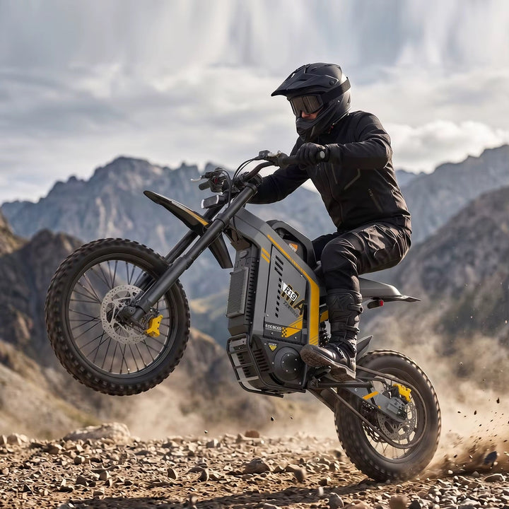 Coswheel R19 MAX The Ebike Shop